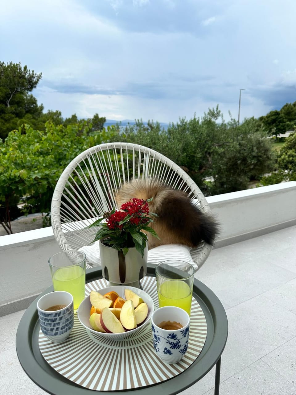 Patio, Day, Balcony/Terrace