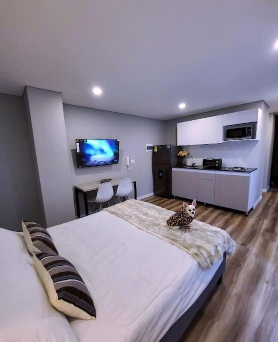 Bed, Kitchen or kitchenette, Photo of the whole room, Bedroom