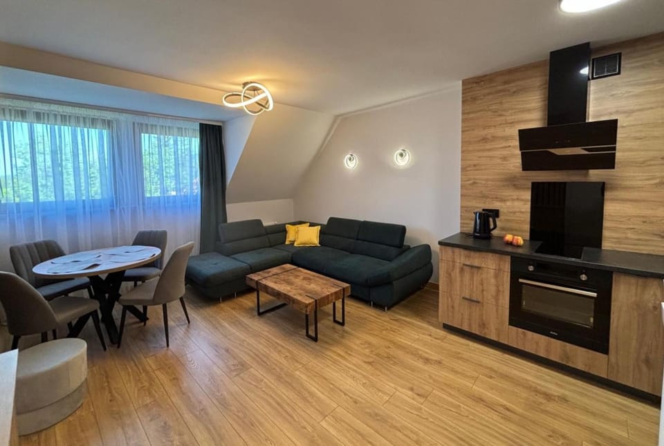 Kitchen or kitchenette, Living room, Seating area, Dining area, stove