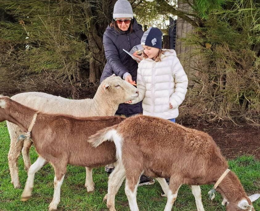 Animals, children