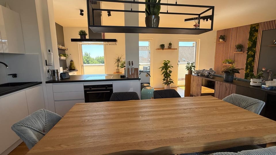 Modernes-Penthouse XXL-Dachterrasse Grill Tiefgarage zentrumsnah Apartment in Leipzig