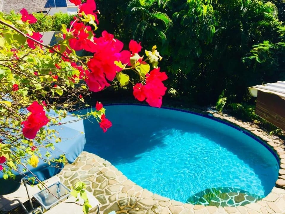 Hummingbird Villa - Tropical 3 bedroom Villa with Panoramic Views home Villa in Caribbean