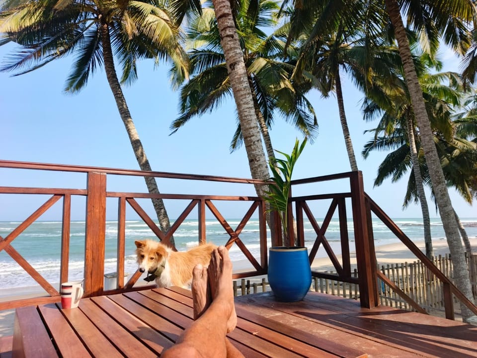 Natural landscape, View (from property/room), Balcony/Terrace, Sea view