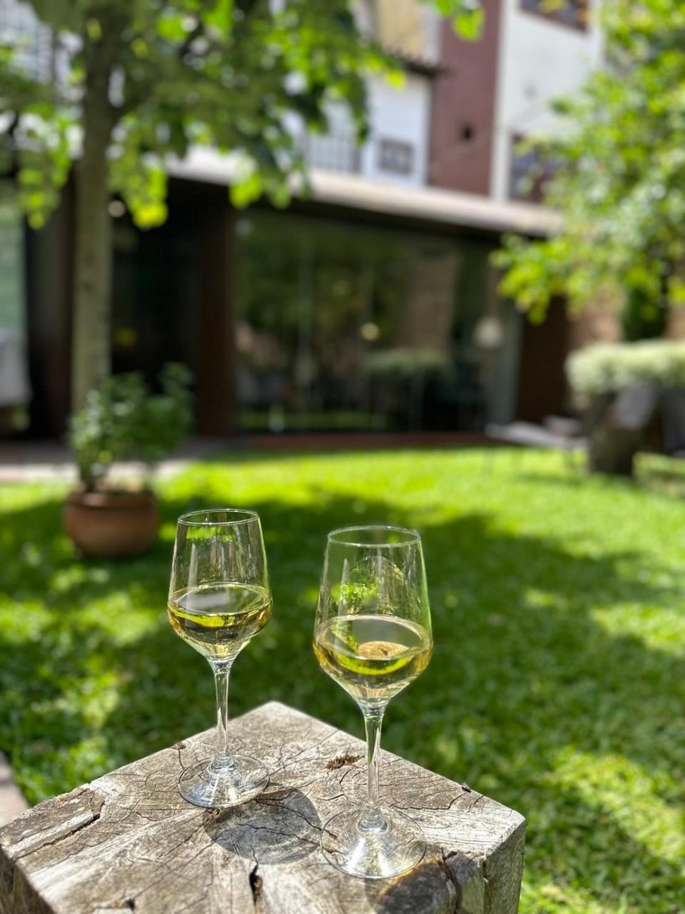 Garden, Garden view, Garden view