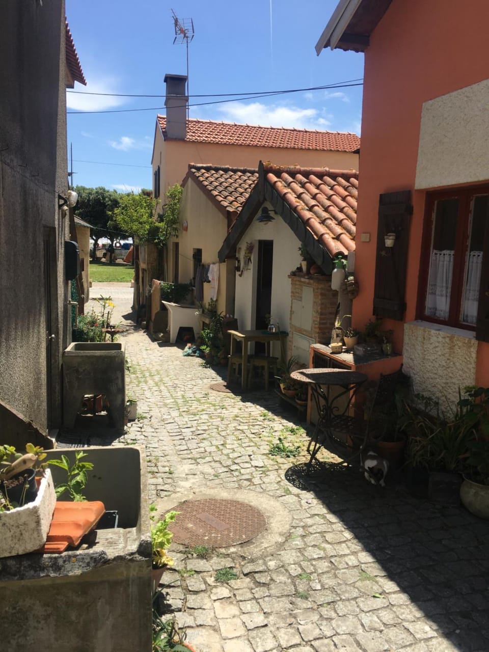 Patio, Balcony/Terrace
