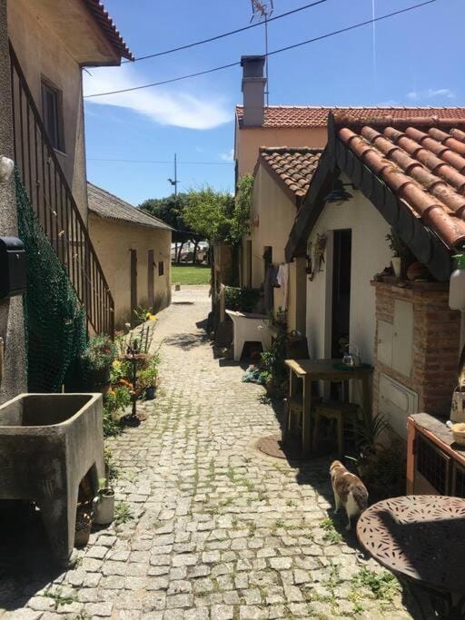 A Barraquinha 30 steps from sea House in Portugal