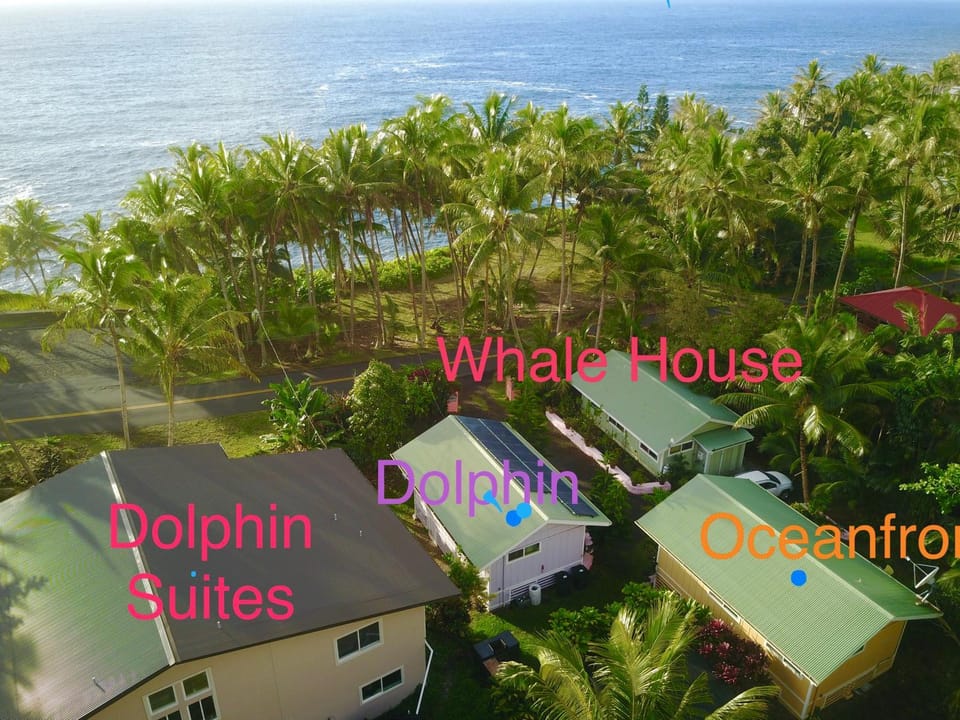 Property building, Bird's eye view
