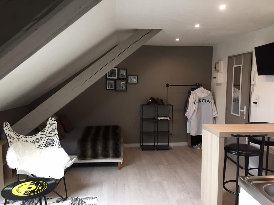 Studio, étage 3, spacieux refait à neuf Apartment in Switzerland