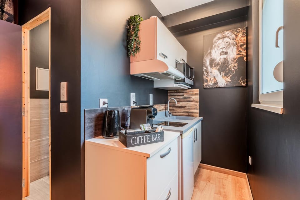Kitchen or kitchenette, minibar, stove