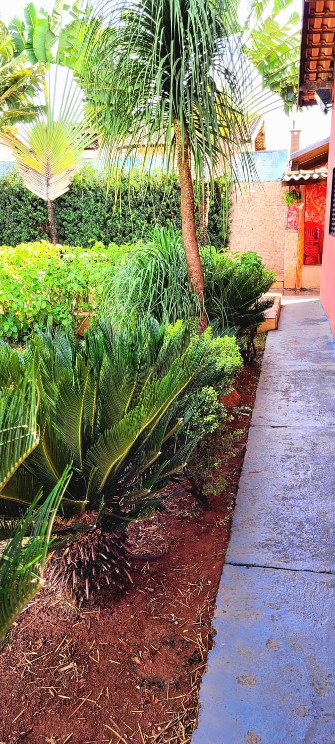Garden, Garden, Garden view
