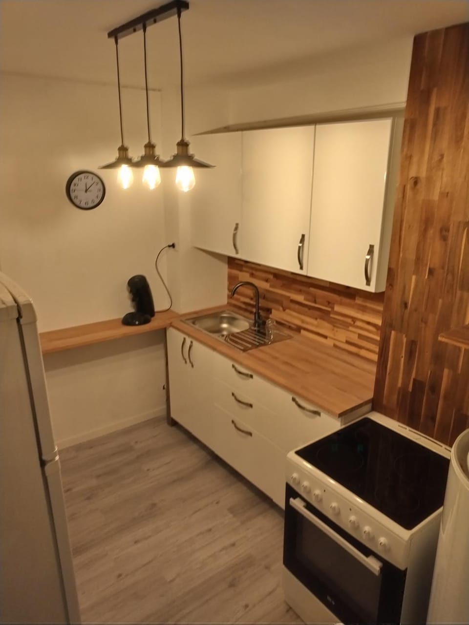 Kitchen or kitchenette, minibar, pet friendly, stove