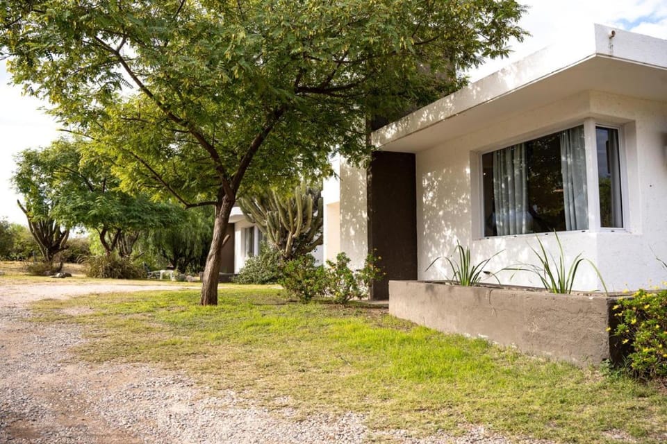 Day, Natural landscape, Garden
