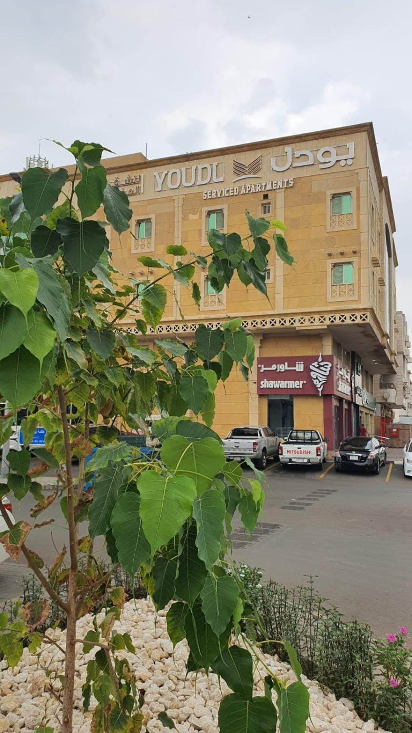 Property building, Neighbourhood, City view, Street view