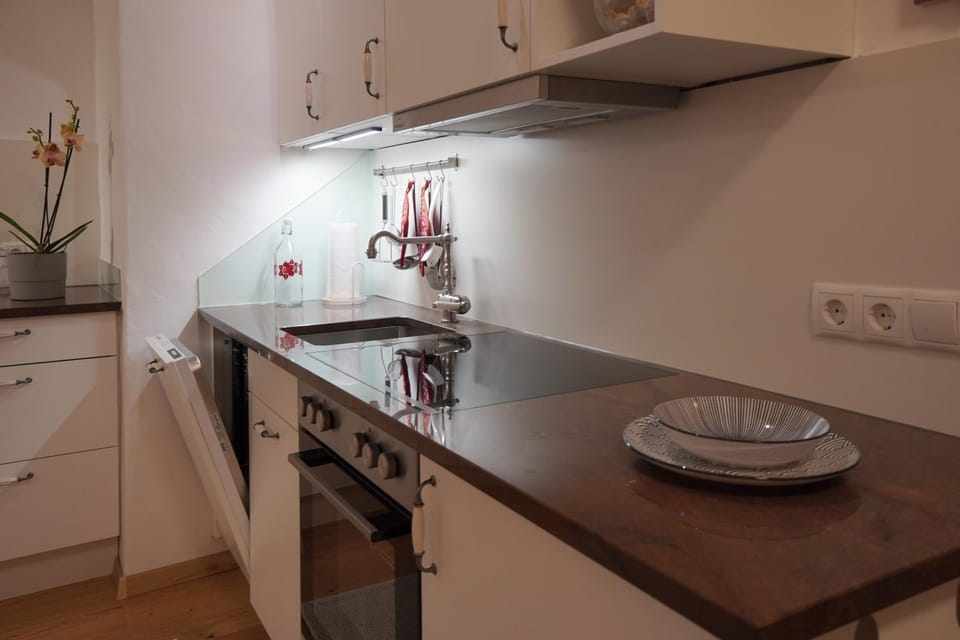 Kitchen or kitchenette, dishwasher, pet friendly, stove