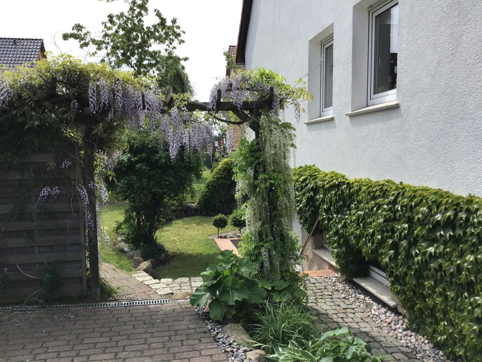 Facade/entrance, Garden