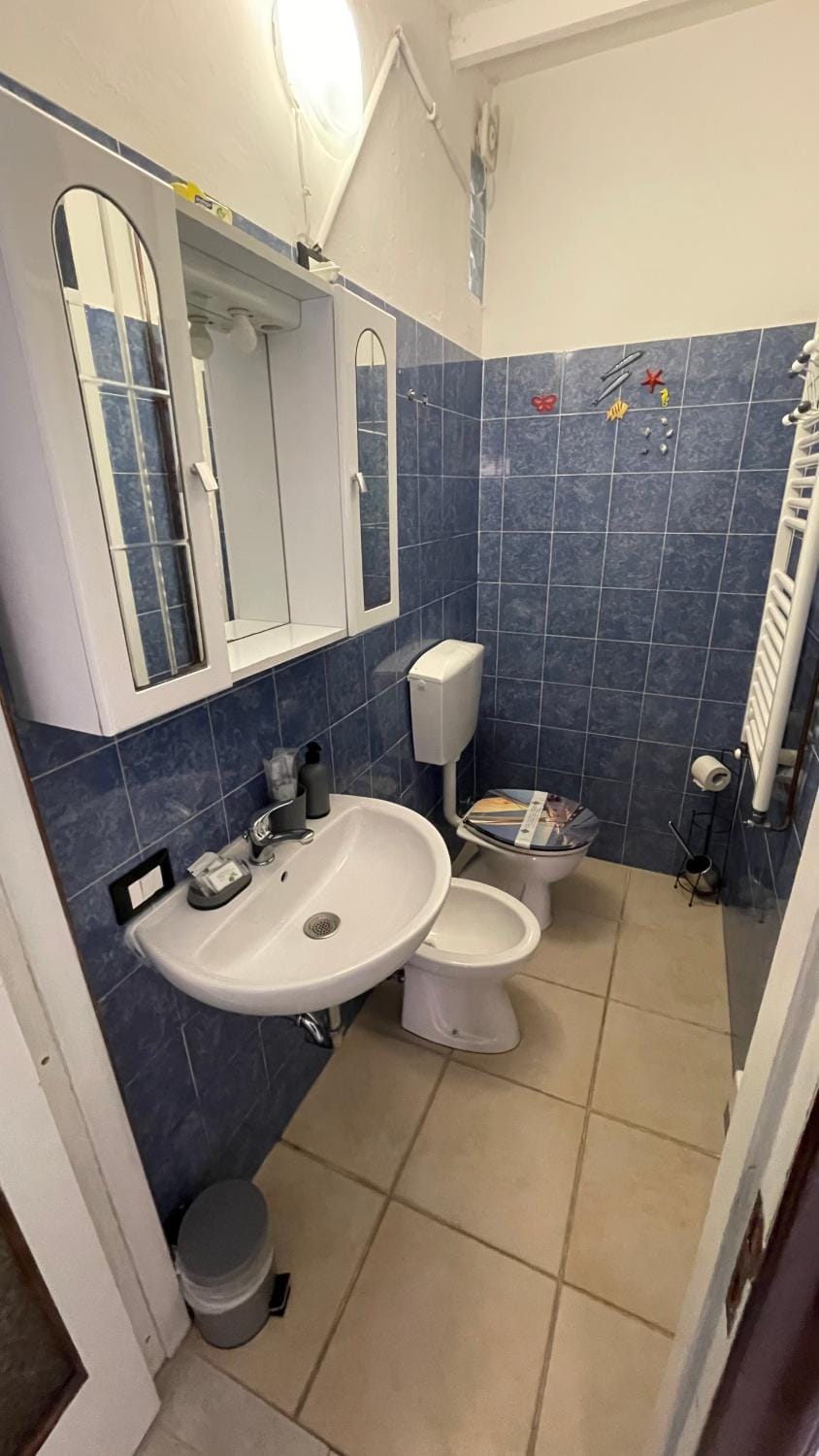 Toilet, Bathroom, bidet