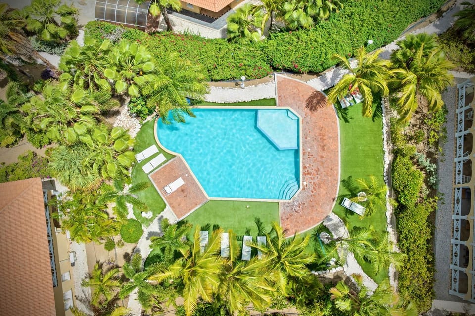 Natural landscape, Bird's eye view, Garden, Garden view, Pool view, Swimming pool