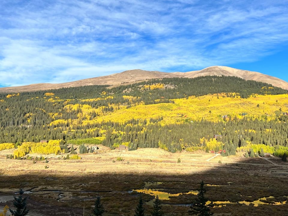 View (from property/room)