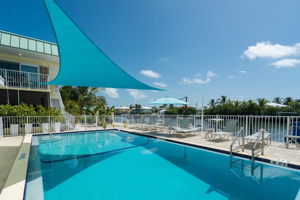 Pool view, Swimming pool, sunbed