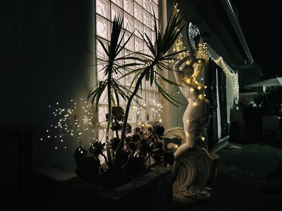 Night, Garden, Garden view