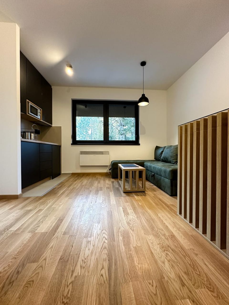 Sofija Apartman Zlatibor Apartment in Zlatibor