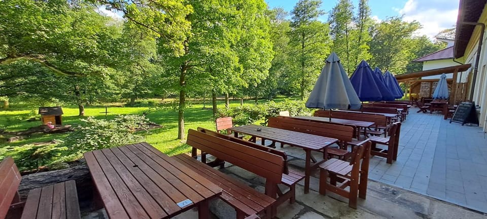 Natural landscape, Dining area, Garden view