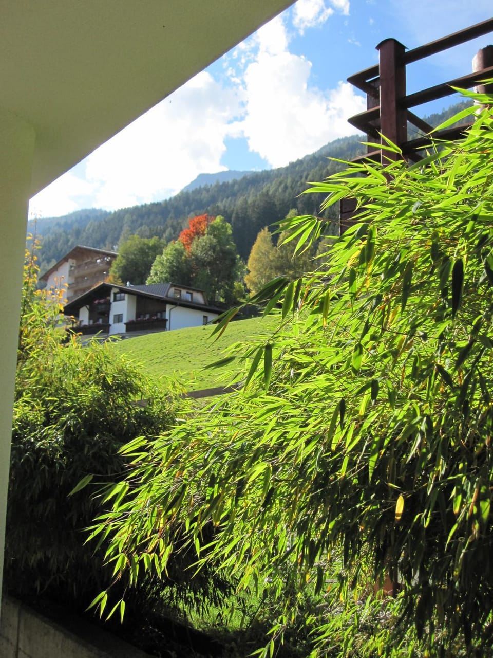 Day, Garden