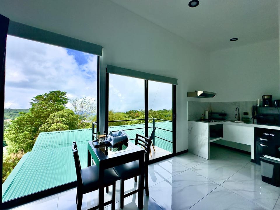 View (from property/room), Balcony/Terrace, Kitchen or kitchenette, Living room