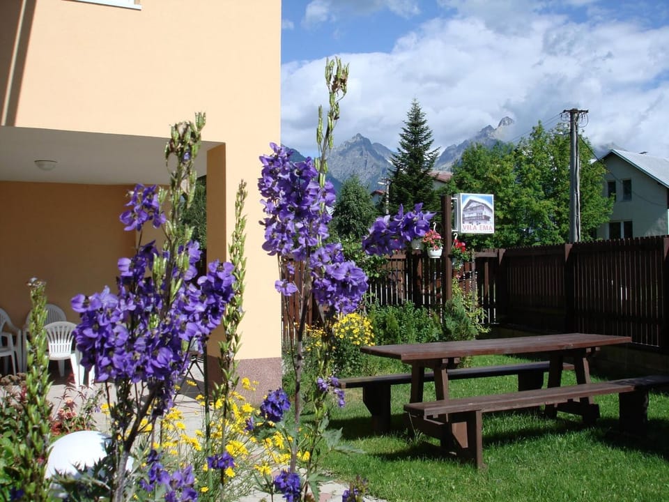 Property building, Garden view