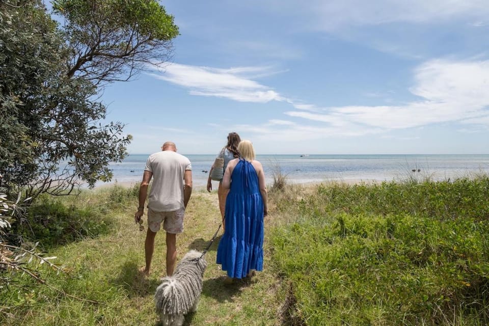 Beach, Pets