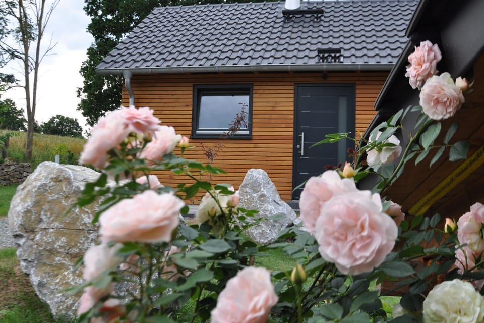 Kellerwald Chalet House in Frankenau