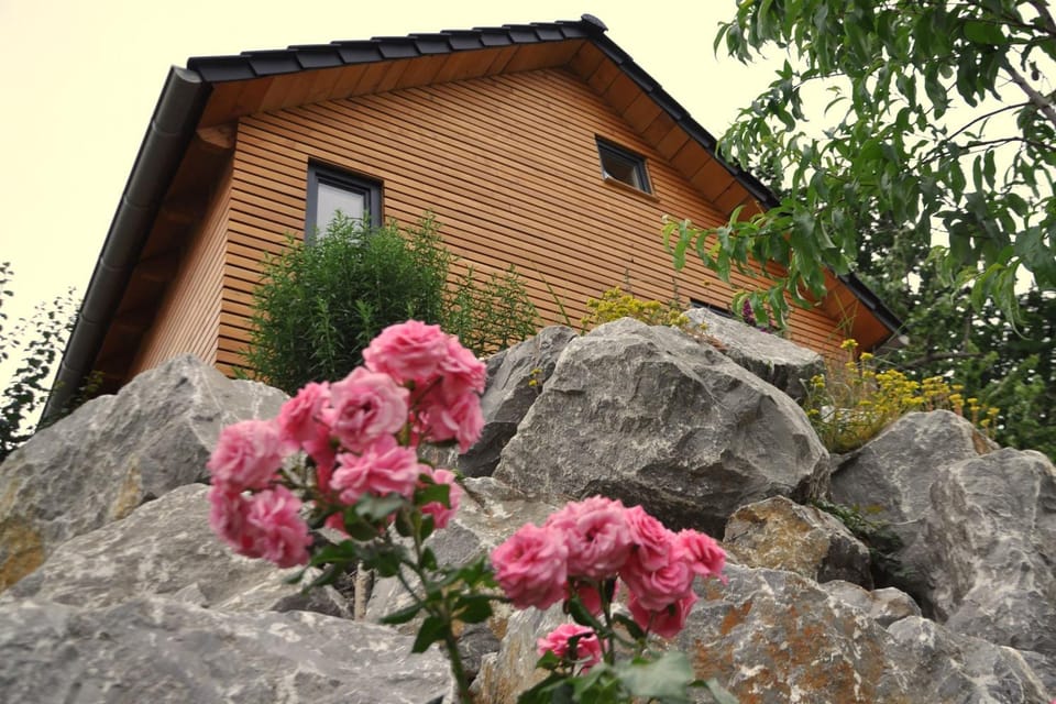 Kellerwald Chalet House in Frankenau