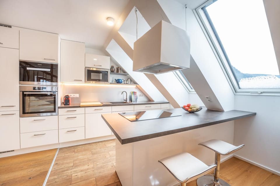 Kitchen or kitchenette, dishwasher, minibar, stove