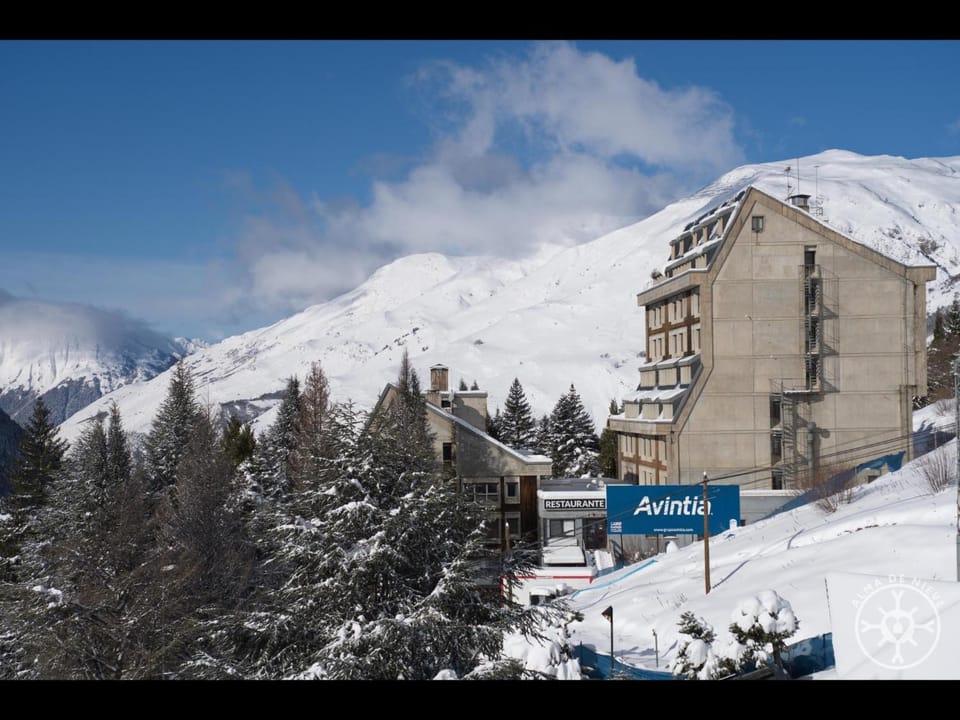 PINCÉLA de Alma de Nieve Apartment in Baqueira