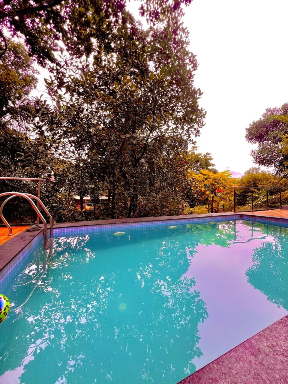 Day, Pool view, Swimming pool