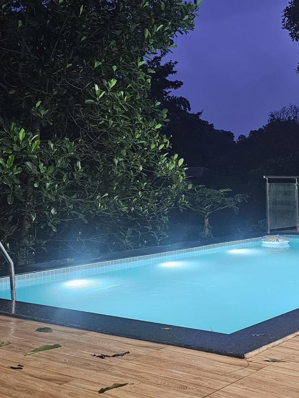 Night, Pool view, Swimming pool