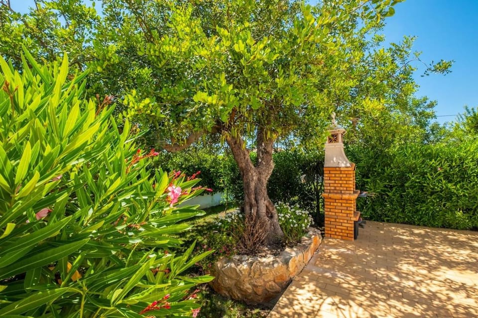 Patio, Garden, Garden view