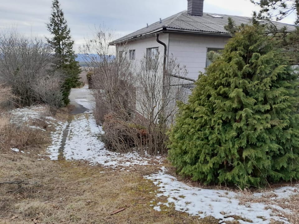 Apartment am Waldrand mit Fernblick Apartment in Austria
