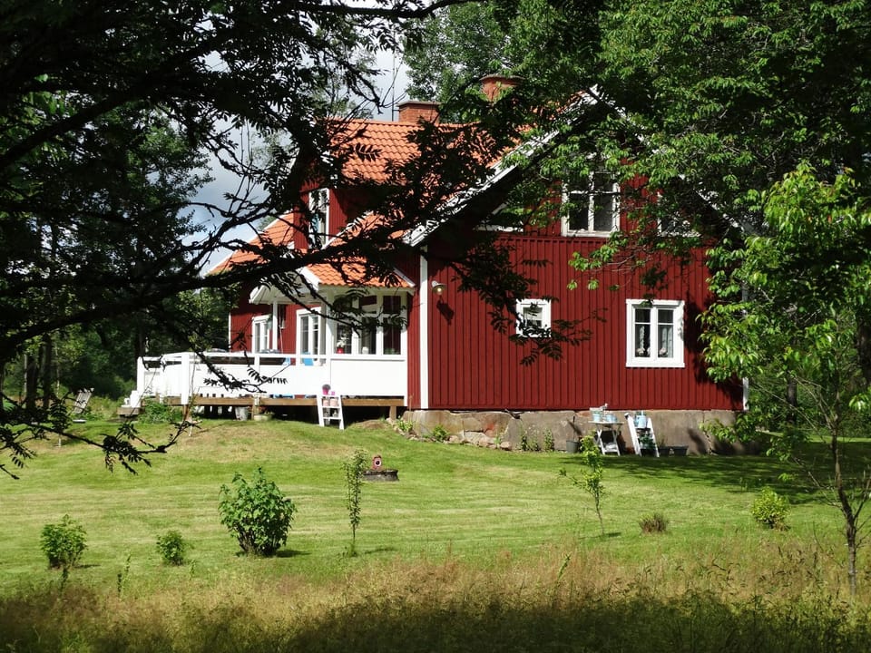Natural landscape, Garden, Garden view