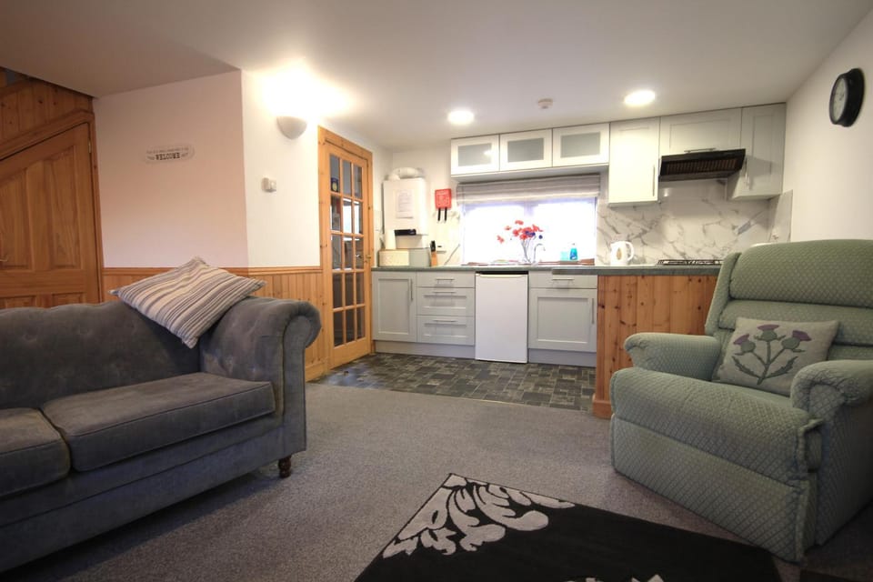 Living room, kitchen