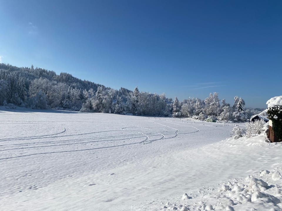 Natural landscape, Winter, View (from property/room)