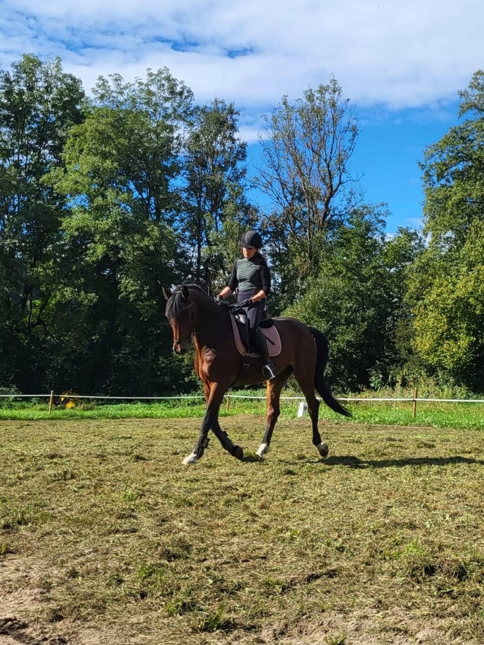 Natural landscape, Horse-riding, Animals