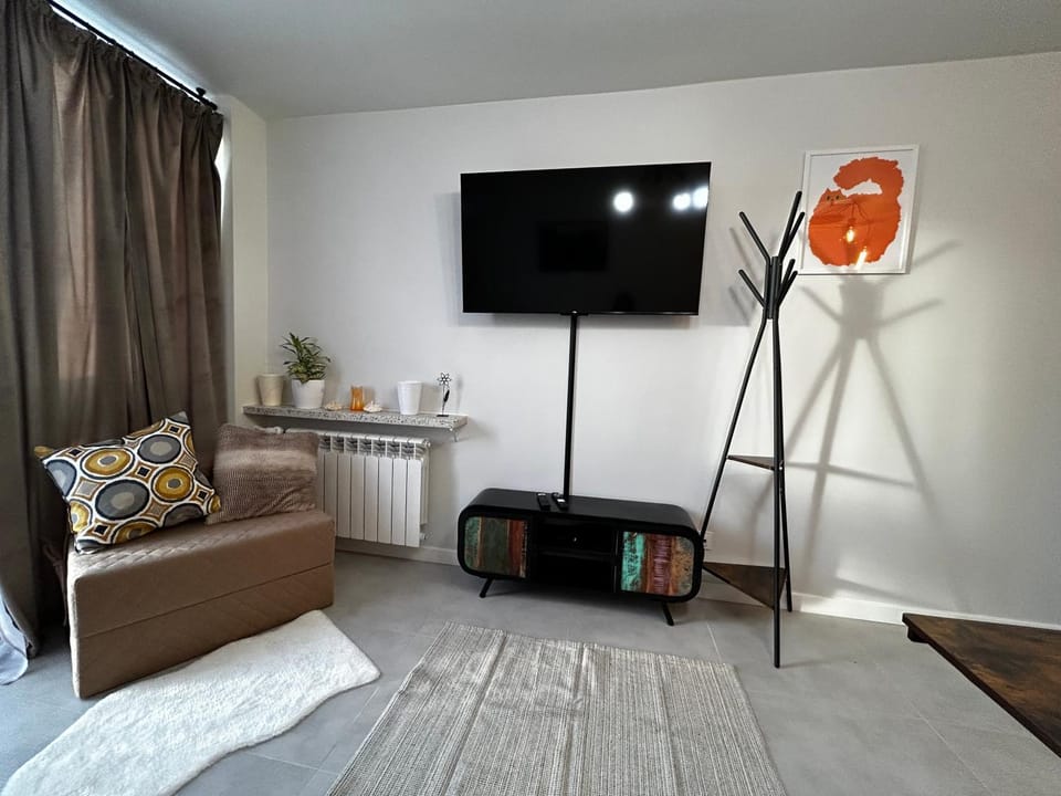 TV and multimedia