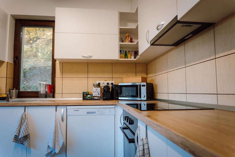 Double room in Pensiunea Nossa Panzió Bed and Breakfast in Romania