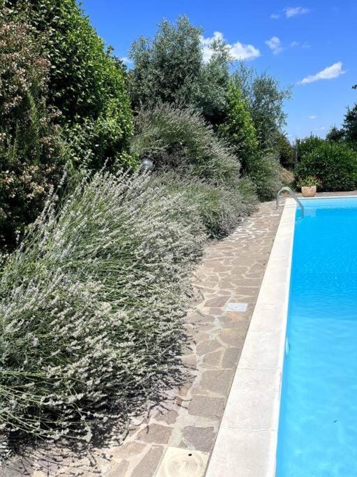 Garden, Pool view
