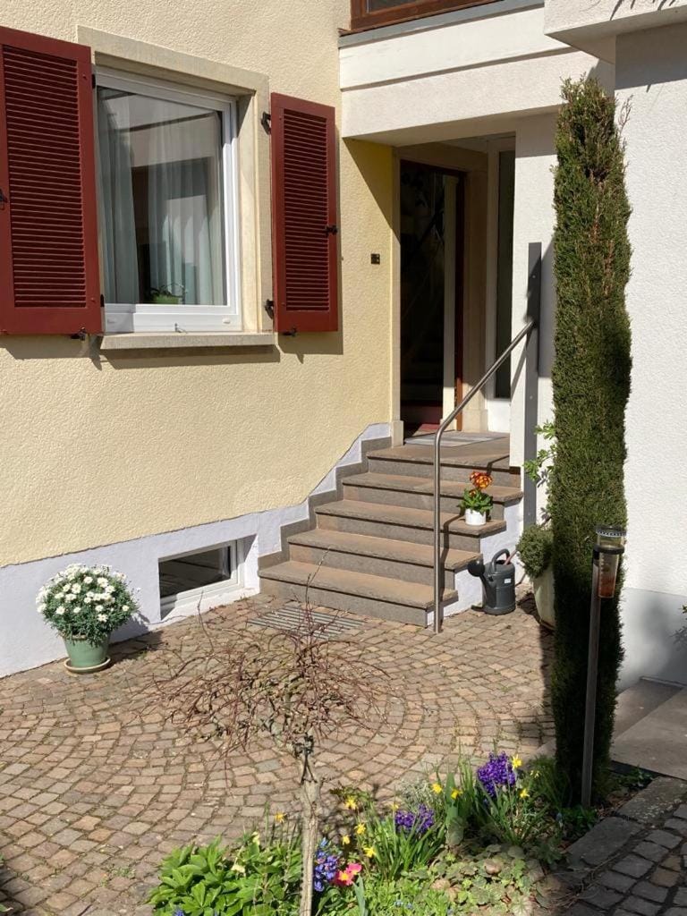 Terrassenwohnung-klimatisiert Apartment in Rhineland-Palatinate