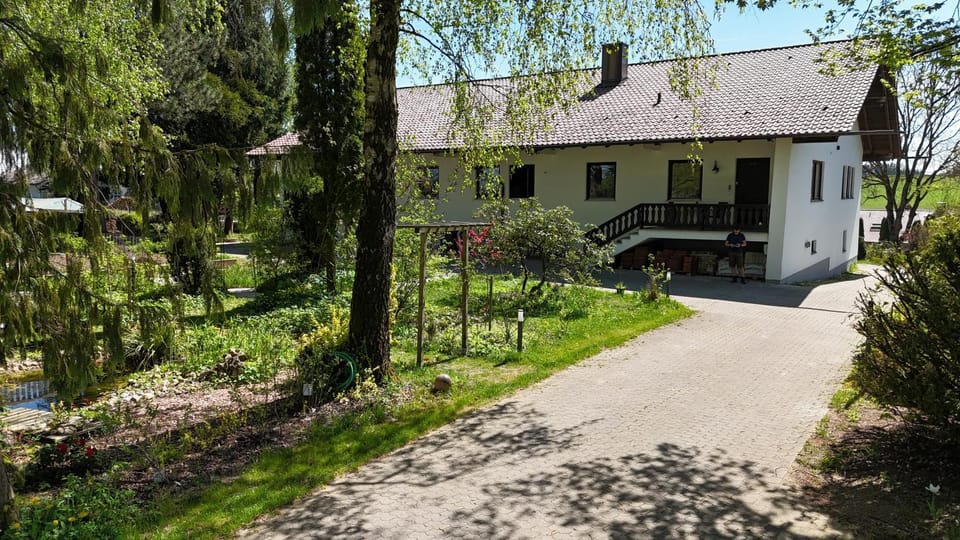 Property building, Garden view