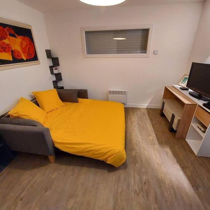 Bed, TV and multimedia