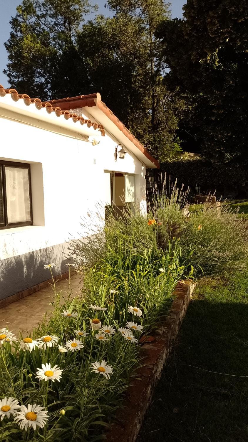 Property building, Spring, Off site, Day, Garden, Garden view