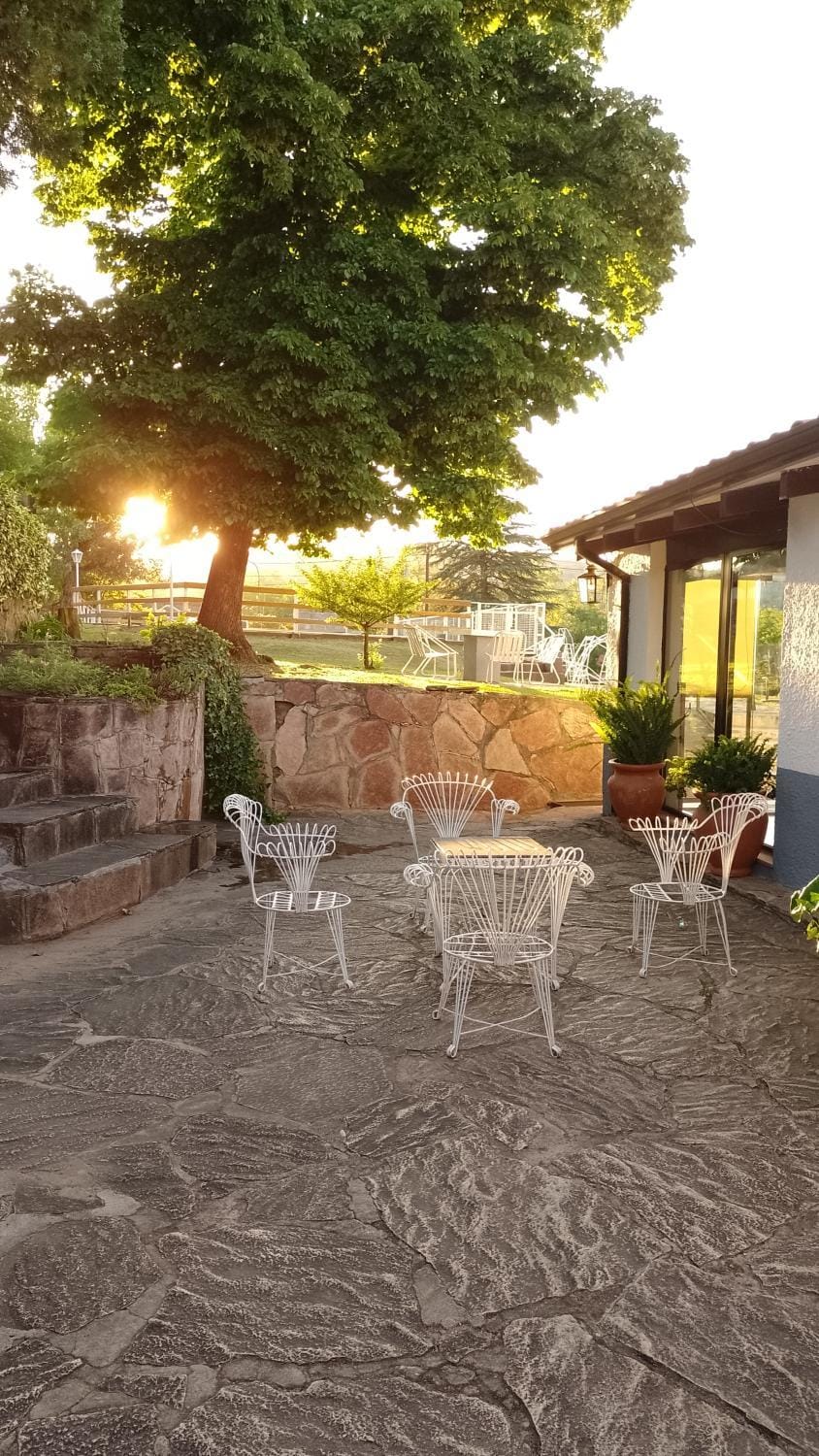 Patio, Garden